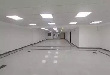 Properties For rent - 4 rooms - floor 5