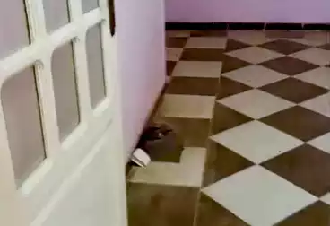 Apartments For sale - 3 rooms - floor 5