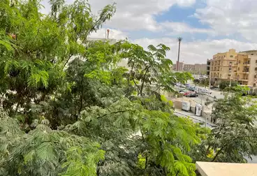 شقق للإيجار - 1 غرف - بالدور 2