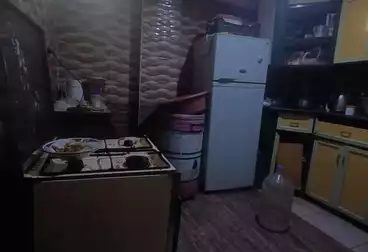 شقق للإيجار - 2 غرف - بالدور 1