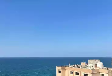 شقق للبيع - 3 غرف - بالدور 14