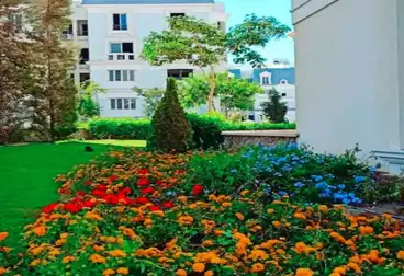 Villas For sale - 3 rooms