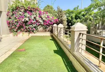 undefined undefined - 1 غرف - بالدور 1