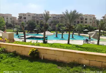 عقارات للإيجار - 4 غرف - بالدور 0