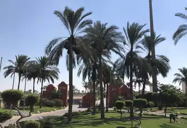 أراضي للبيع