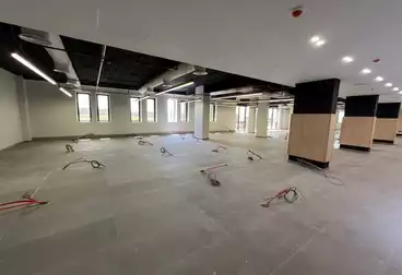 Corporate Branch For rent - 12 rooms - floor 2