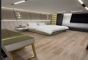 Furnished Apartment For rent - 1 rooms - floor 4