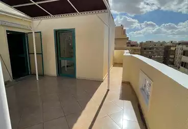 شقق للإيجار - 3 غرف - بالدور 5