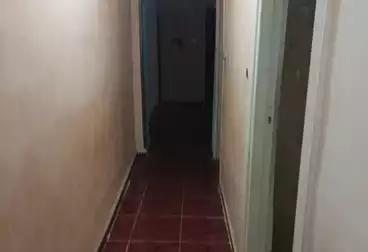 undefined undefined - 2 rooms - floor 15