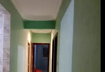 شقق للإيجار - 3 غرف - بالدور 7