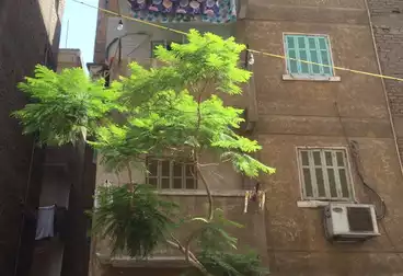 مباني للبيع