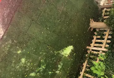 undefined undefined - 3 غرف - بالدور 1