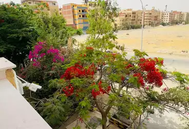 شقق مفروشة للإيجار - 2 غرف - بالدور 1