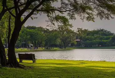 Apartments For sale - 2 rooms - floor 1