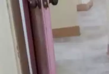 شقق للبيع - 2 غرف - بالدور 0