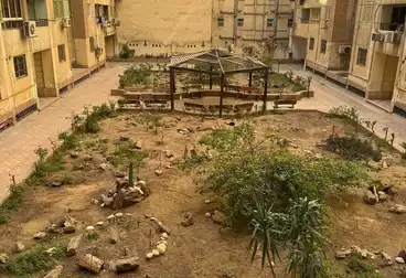 شقق للبيع - 3 غرف - بالدور 1