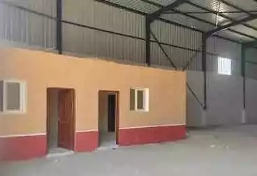 عقارات للإيجار