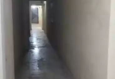 شقق للبيع - 3 غرف - بالدور 1