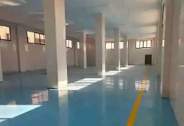 تجاري للإيجار