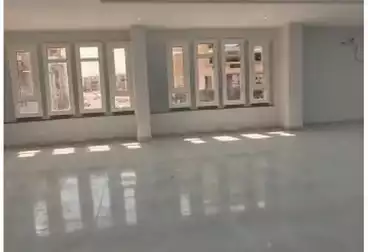 عقارات للإيجار - 10 غرف - بالدور 2