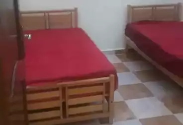 شقق للبيع - 2 غرف - بالدور 1