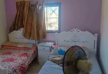 عقارات للإيجار - 2 غرف - بالدور 2