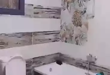 شقق للبيع - 3 غرف - بالدور 1