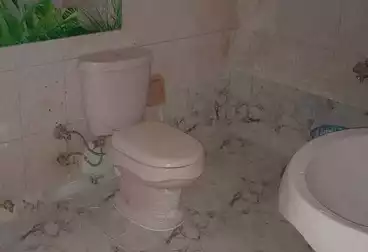 Apartments For rent - 3 rooms - floor 5