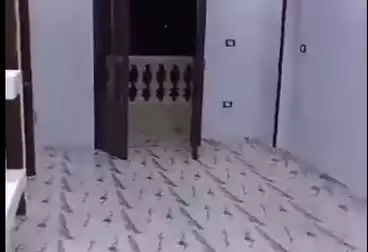 عقارات للإيجار - 2 غرف - بالدور 9