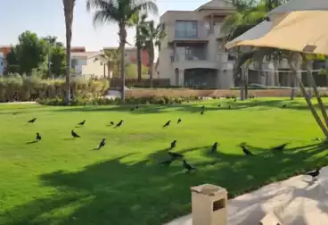 Separate Villa For sale - 5 rooms