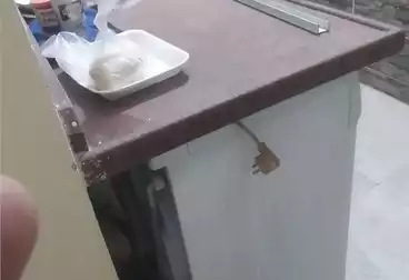 undefined undefined - 2 rooms - floor 2