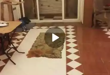 Apartments For sale - 3 rooms - floor 5