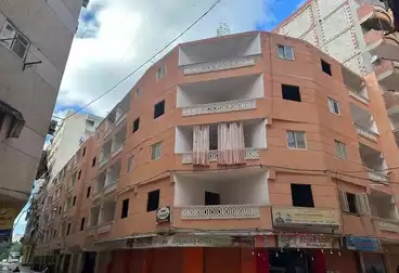 undefined undefined - 3 rooms - floor 1