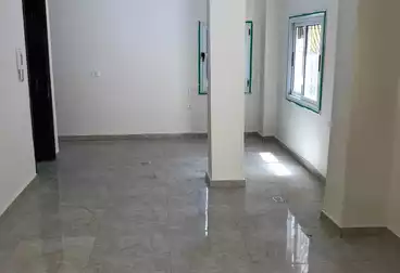 Properties For rent - 3 rooms - floor 1