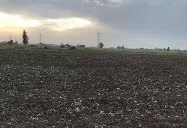 عقارات للبيع