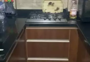 undefined undefined - 2 rooms - floor 2