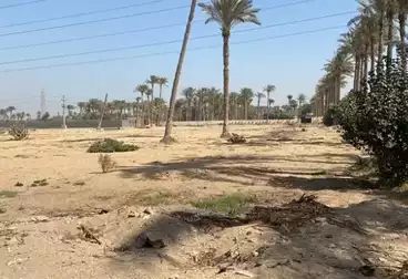 أرض زراعية للبيع