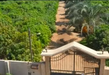 عقارات للبيع