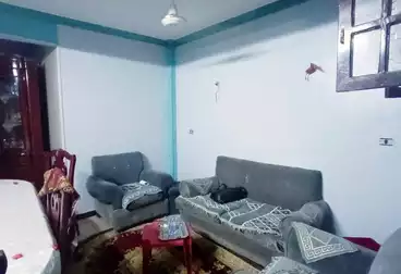 شقق مفروشة للإيجار - 4 غرف - بالدور 10