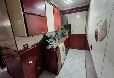 شقق للبيع - 2 غرف - بالدور 1