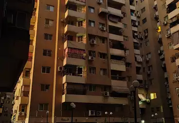 عقارات للإيجار - 3 غرف - بالدور 7