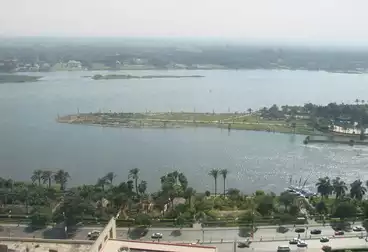 مكاتب للإيجار - 5 غرف - بالدور 12