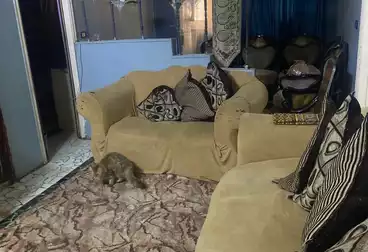 Apartments For sale - 3 rooms - floor 1