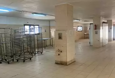 مباني للإيجار