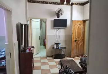 شقق مفروشة للإيجار - 3 غرف - بالدور 0