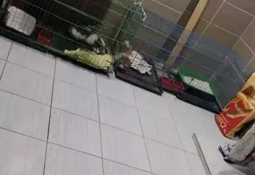 undefined undefined - 3 rooms - floor 0