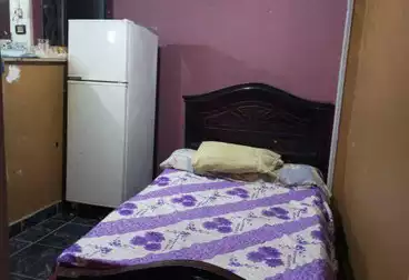 شقق مفروشة للإيجار - 2 غرف - بالدور 7