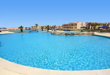 عقارات للبيع - 1 غرف - بالدور 1