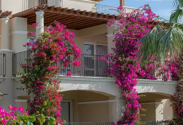 Properties For sale - 2 rooms - floor 0