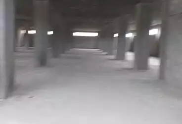 عقارات للإيجار